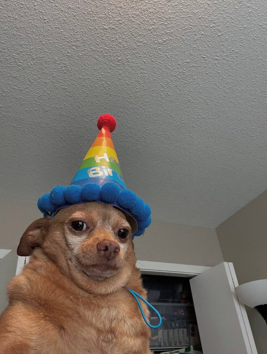 Precious🥶📊 tweet media