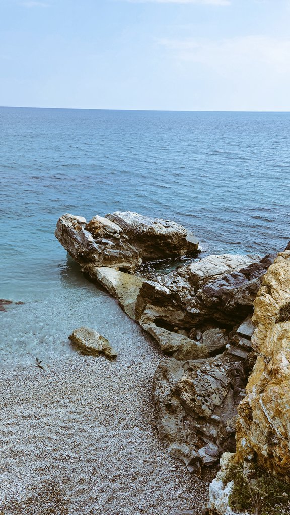 Simonetta tweet media