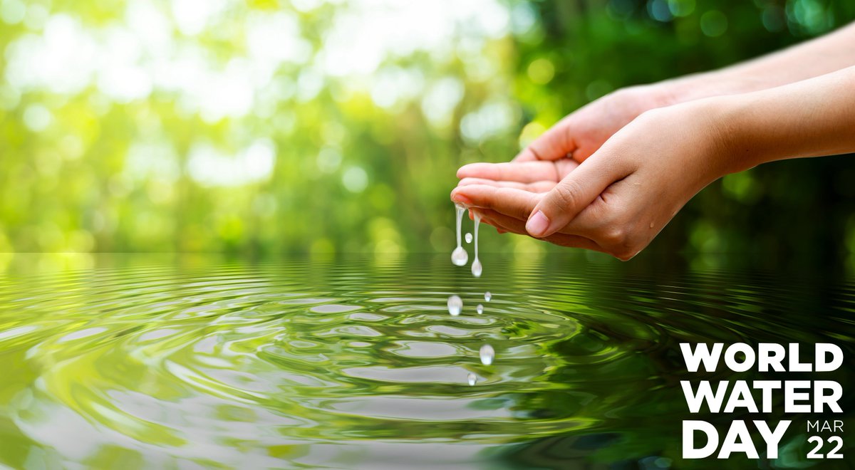 Water is the foundation of every living thing on our planet. Yet, over 2 billion people around the world lack access to safe drinking water today. Rivers are drying up. Glaciers are retreating. Aquifers are being depleted faster than they can be replenished. World Water Day is a