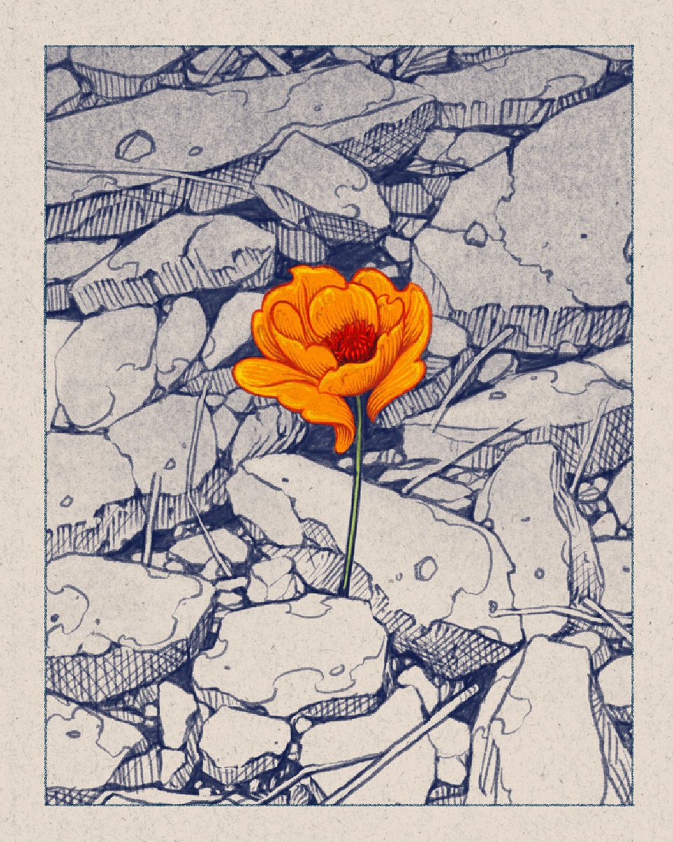 Garis Edelweiss tweet media