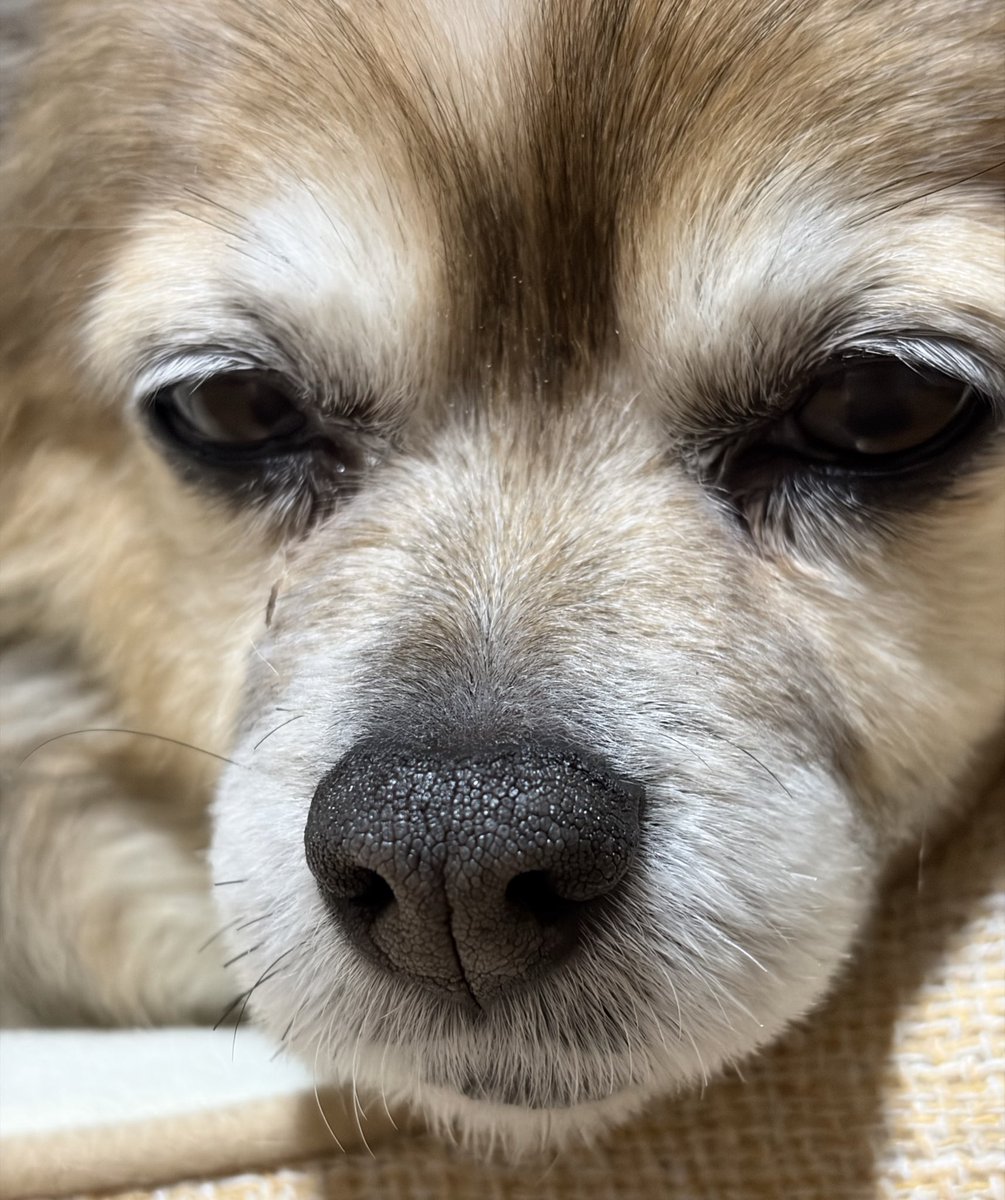 10年ニート tweet media