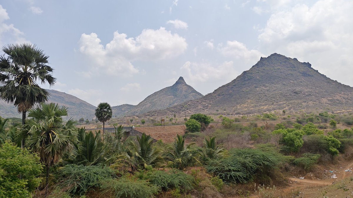 Shyam Diwakar tweet media