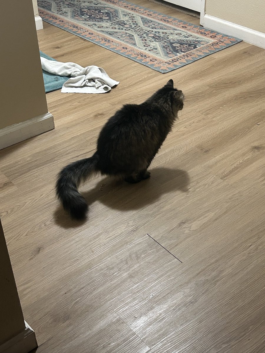 mary tyler less tweet media