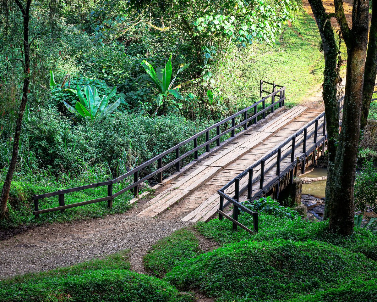 Here we go! tweet media