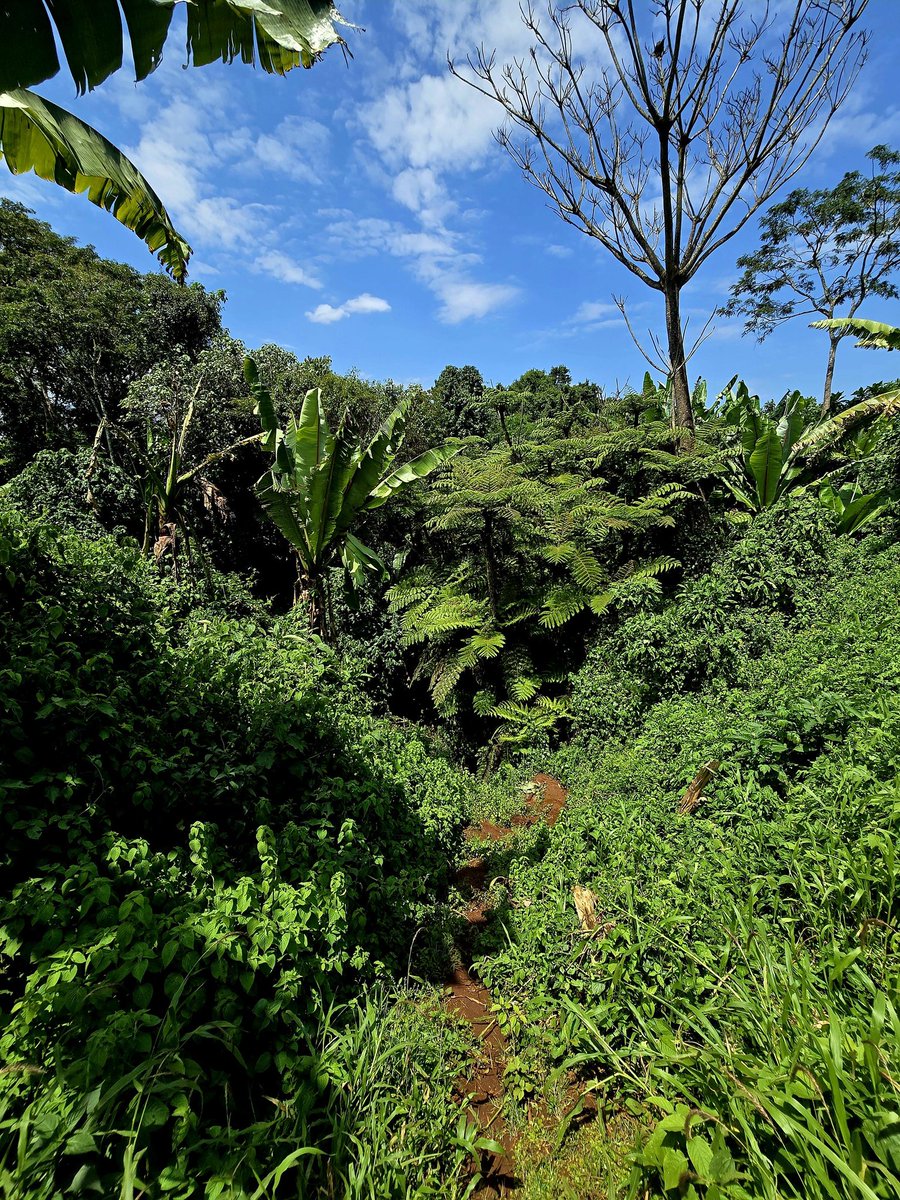 Here we go! tweet media