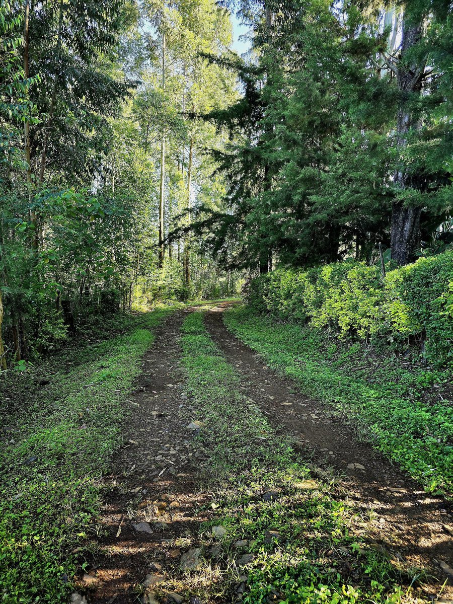 Here we go! tweet media