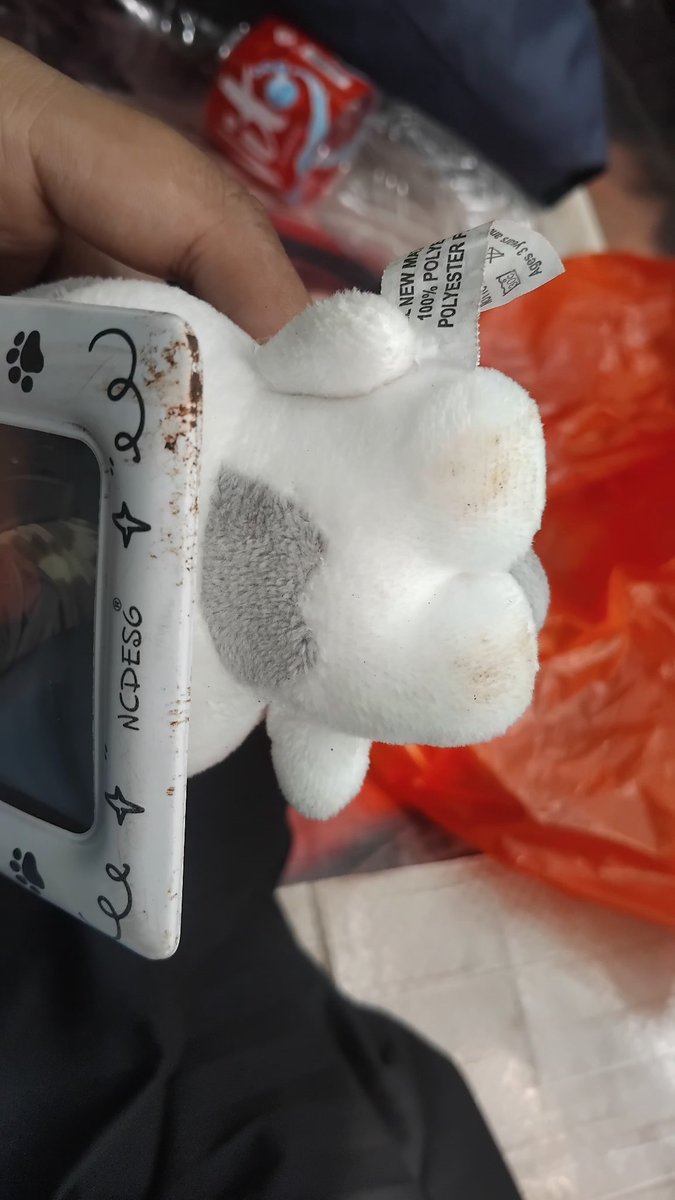 zaaa🫧 tweet media