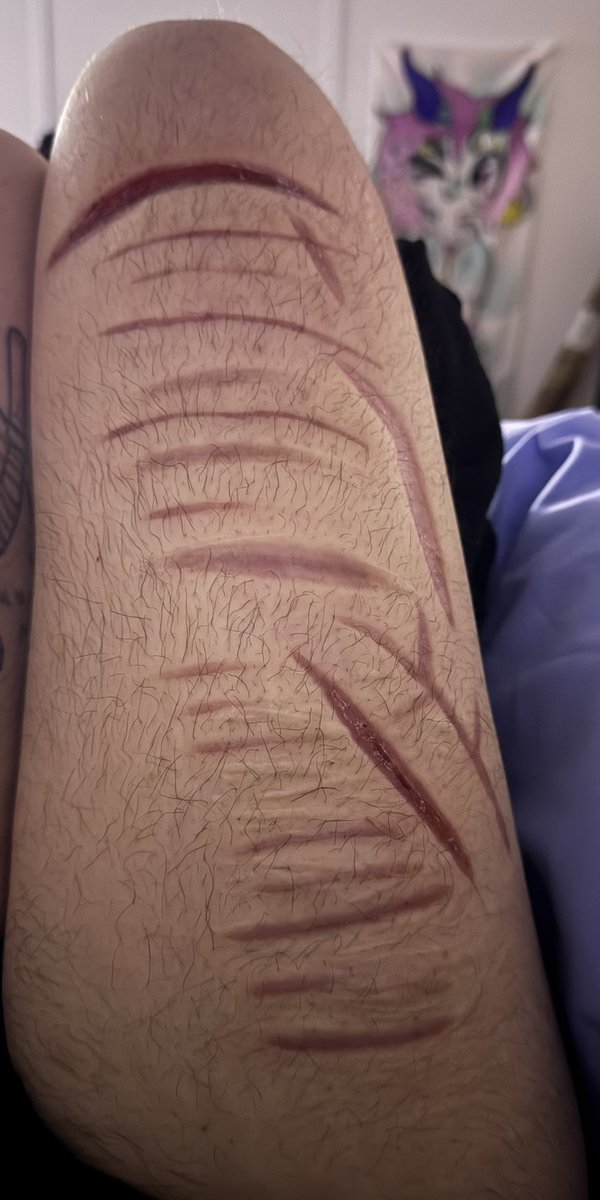 disco party of shedtwt tweet media