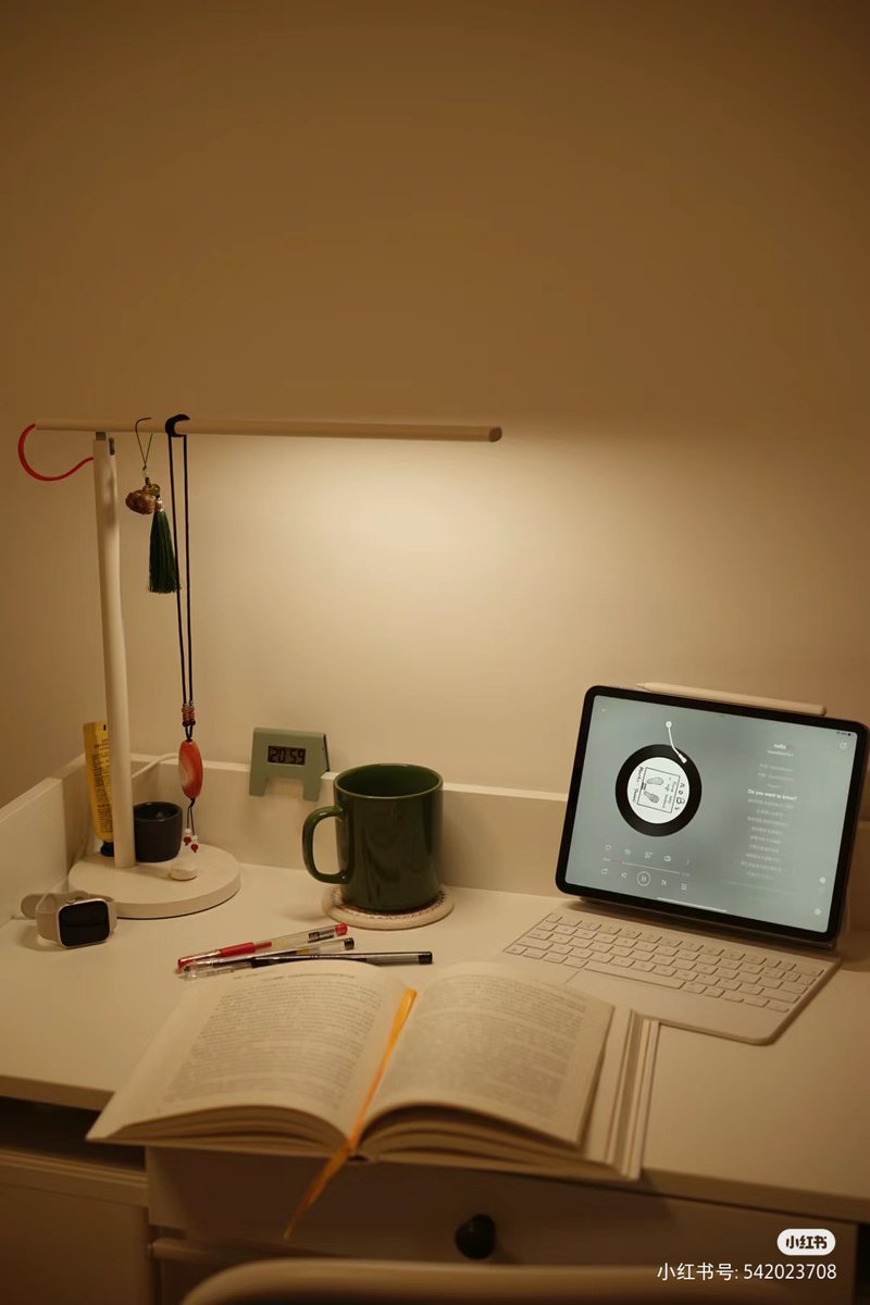 rachel delong tweet media