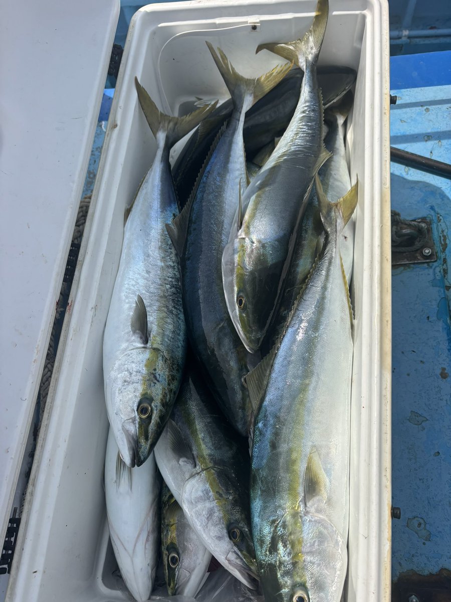 オビサン tweet media