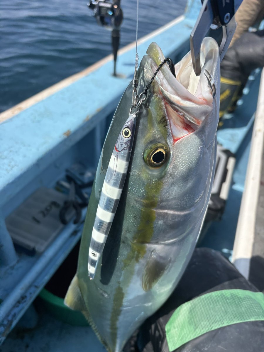 オビサン tweet media