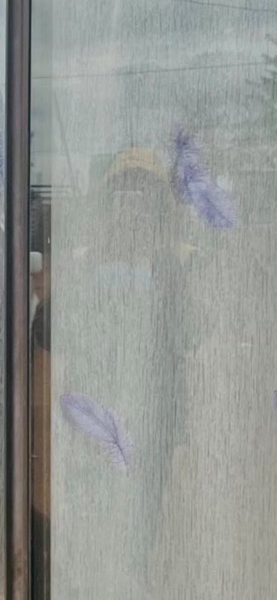 Aviwe Ndabazipheli tweet media