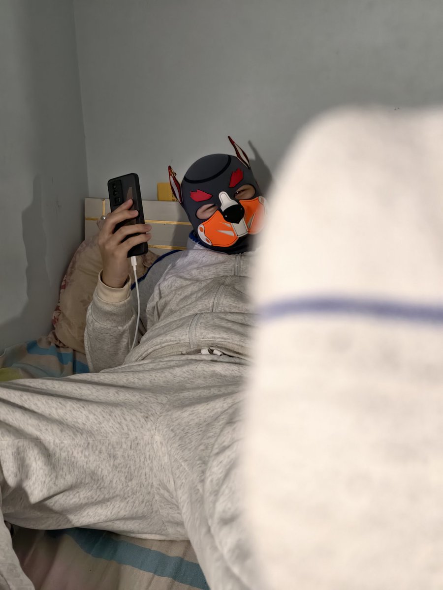 预言家の犬神言煜🐾 tweet media