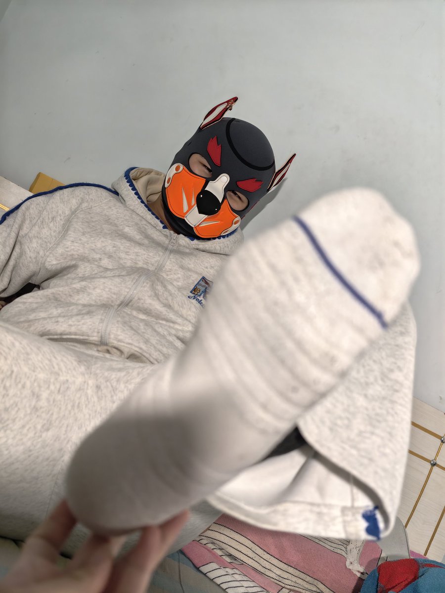 预言家の犬神言煜🐾 tweet media