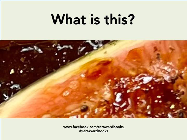 Tara Ward tweet media