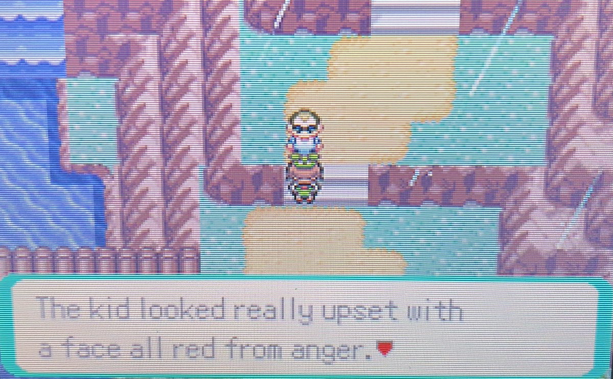 Bonsai/#1 leavanny fan tweet media