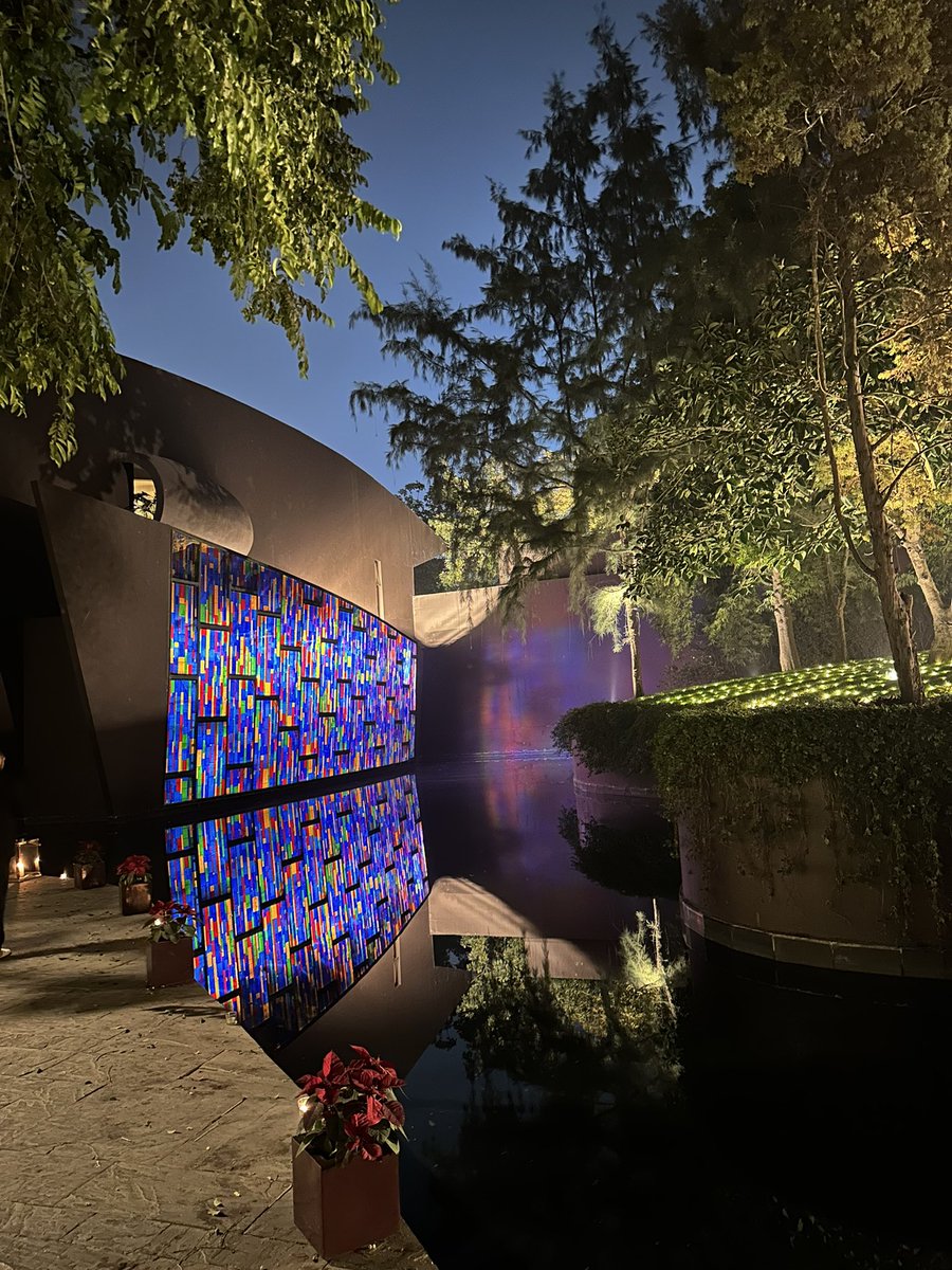 Janka in India 🇮🇳🪷 tweet media