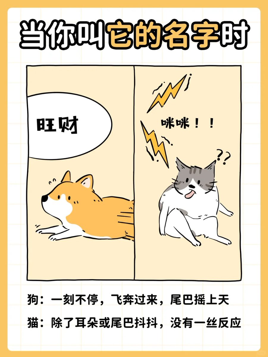 Junior Alexis Santos tweet media