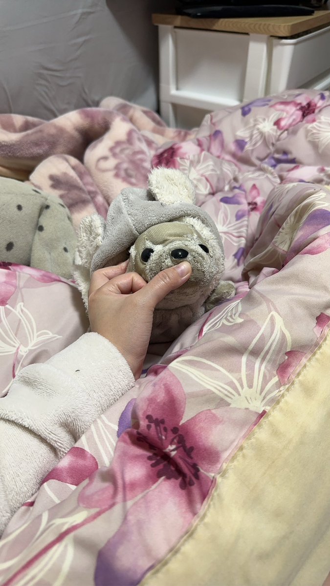 柳瀬晴日🦭🌹 tweet media