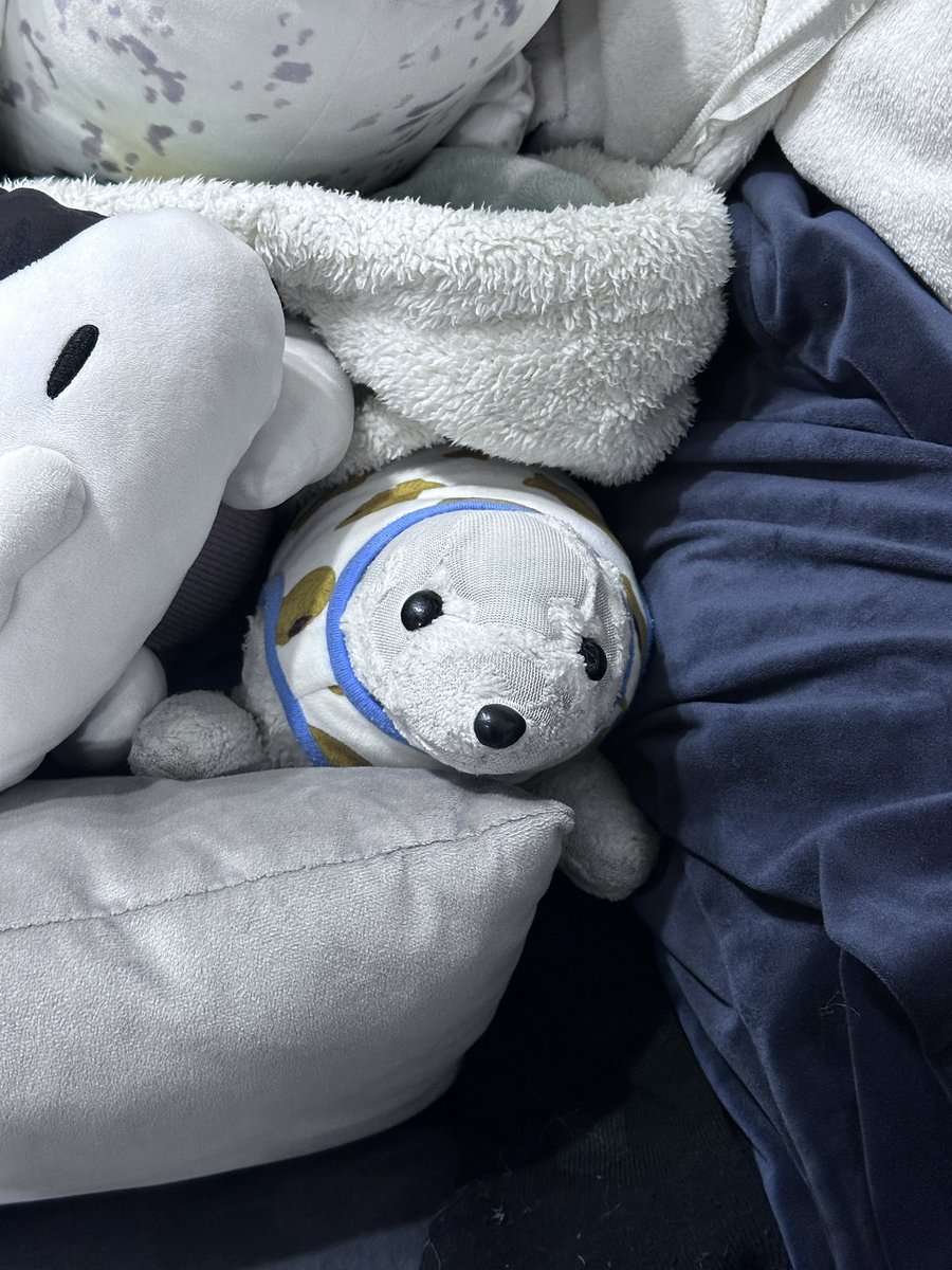 柳瀬晴日🦭🌹 tweet media