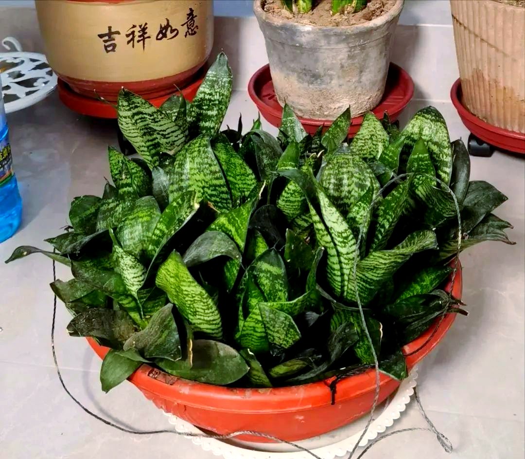 Patrycja tweet media