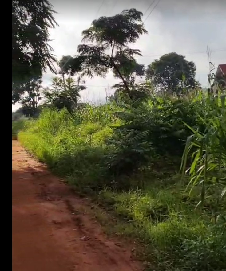 Mangwelaa's tweet photo. ENEO LINAUZWA.
SONGEA _ Mshangano stendi.
Ukubwa:3000sqm
Umeme&amp;maji✓
Bei :35ml
Kwenda site 10k.

Mawasiliano calls Whatsapp 0618289895. https://t.co/246NGRWjWz