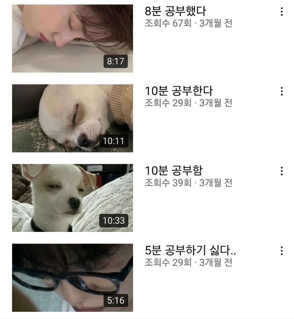 몽주… (상태 : 개잡이) tweet media