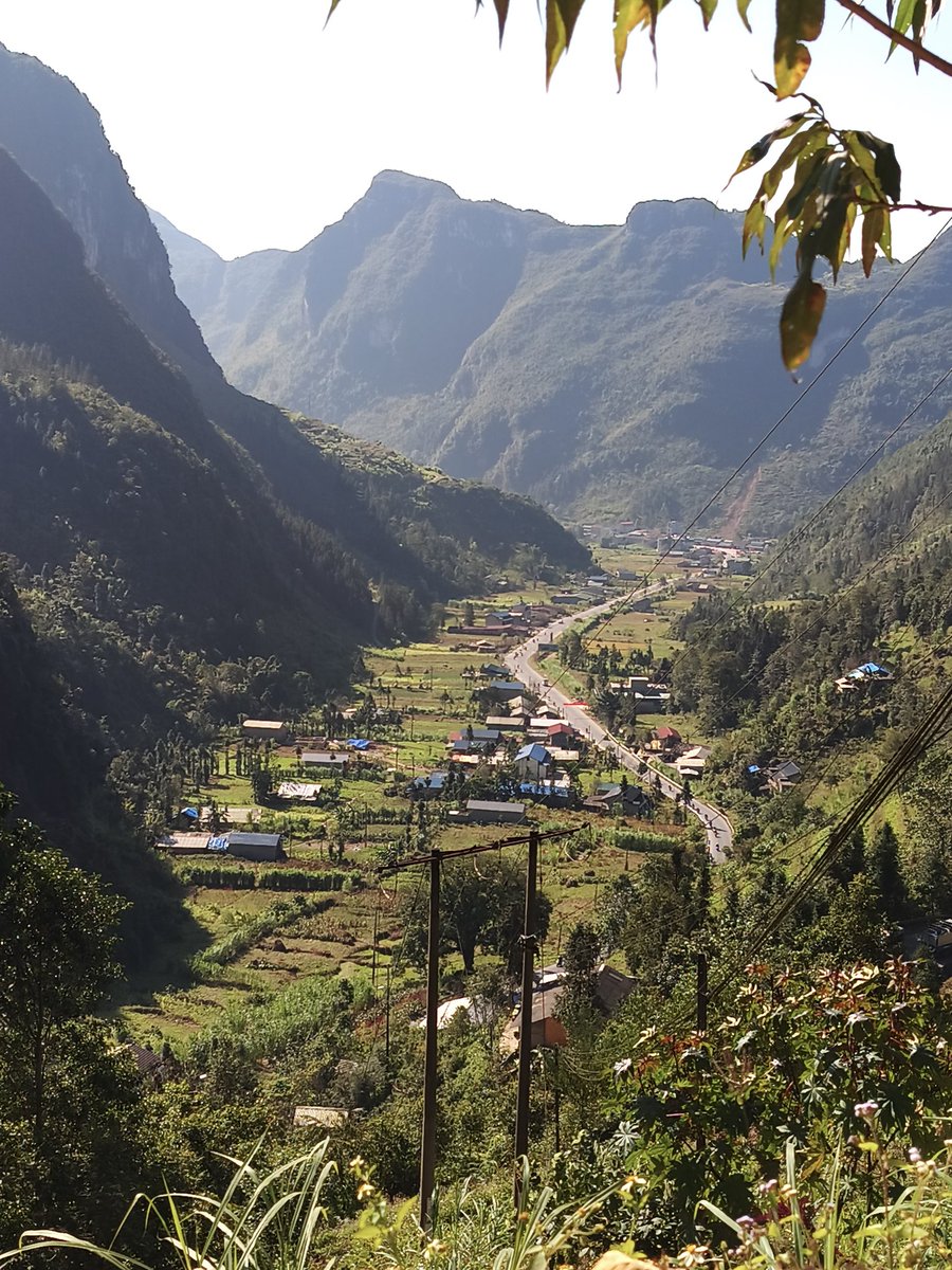 Irish | Jupiverse tweet media