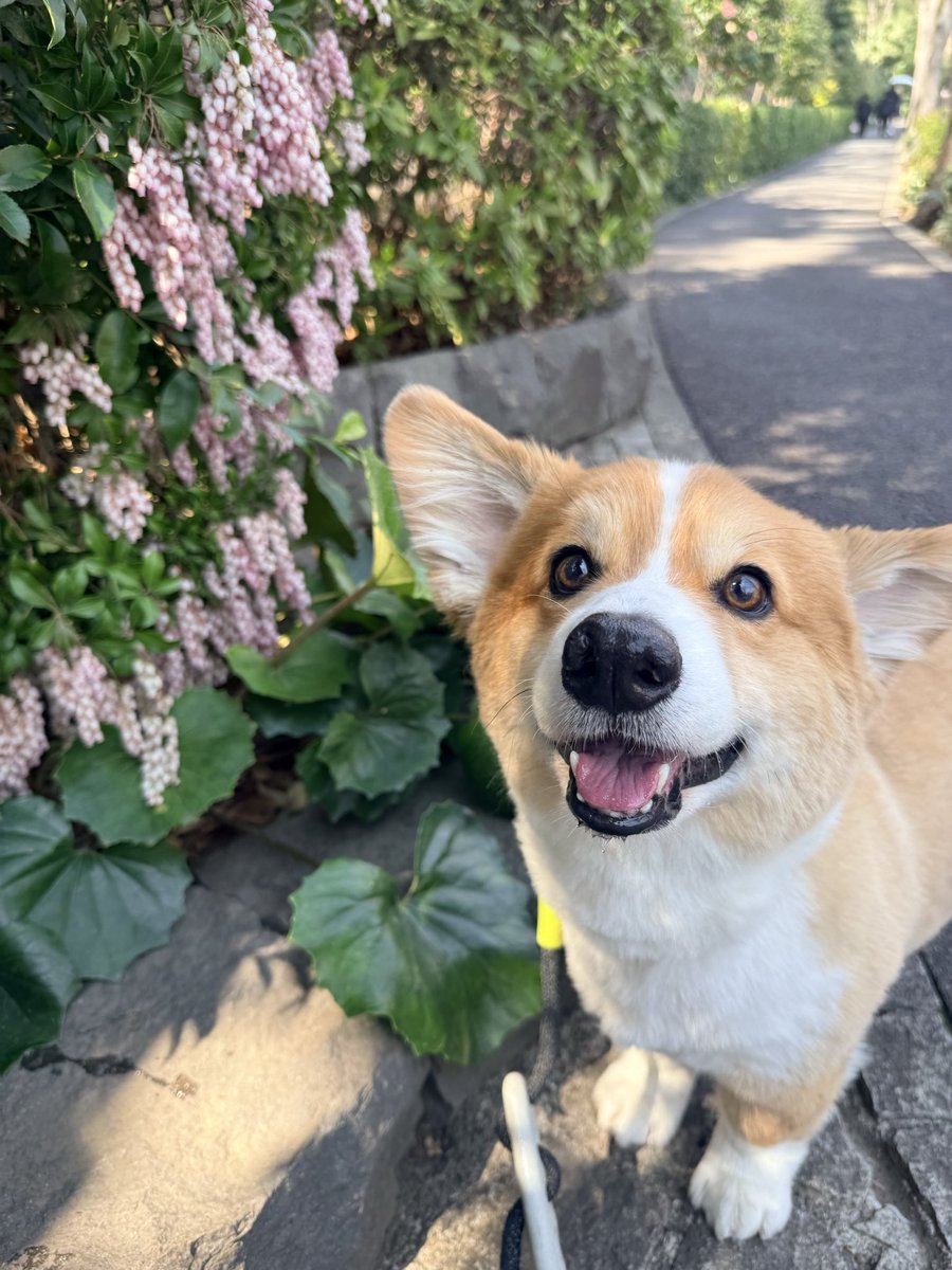 seika ✈️ 🇸🇬 🇹🇭 🇭🇰 🇻🇳 🇯🇵 tweet media