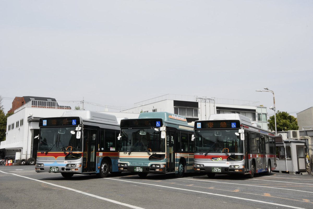 みやおお tweet media