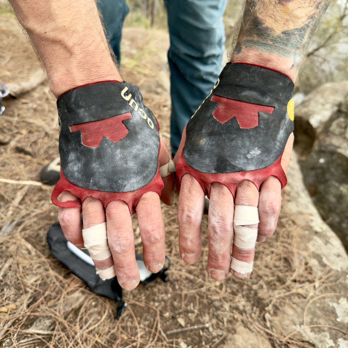 Mitch Malone tweet media