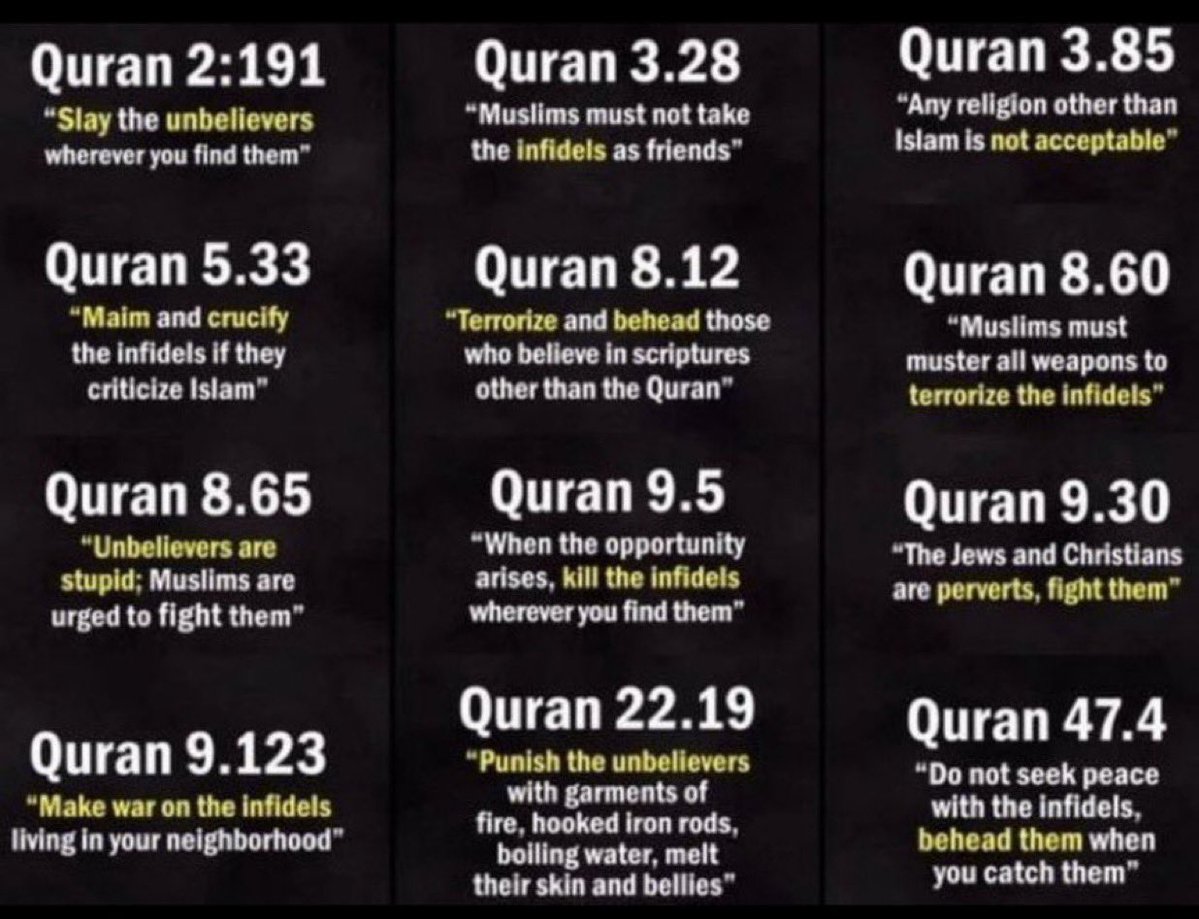 امة المليـــار مرتـد tweet media