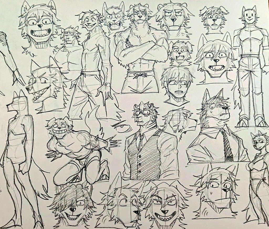 胡桃犬 tweet media