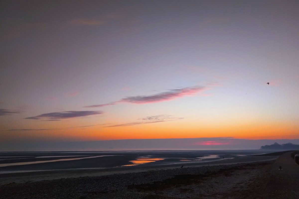 Wayne Whittle tweet media