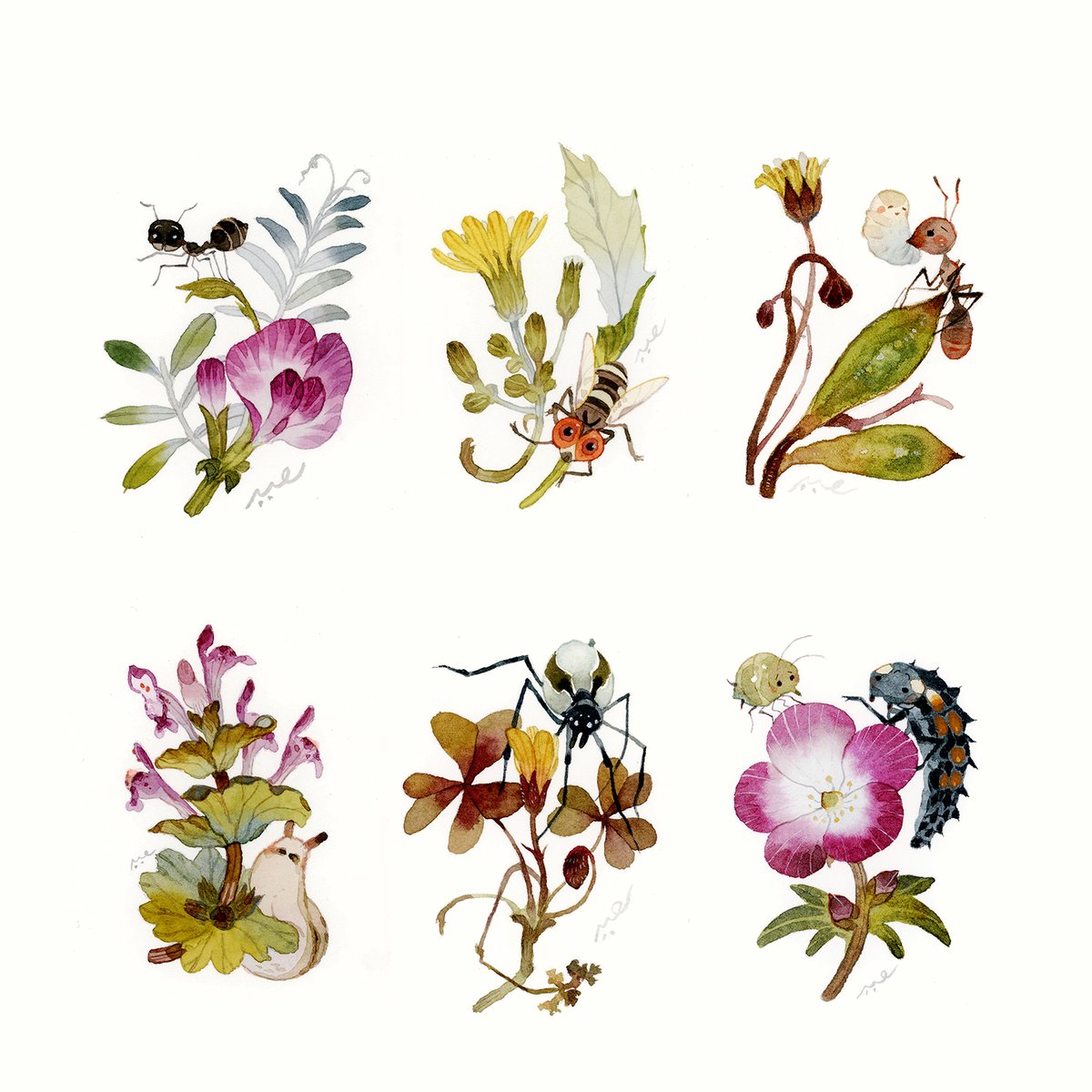 こまちみゆた tweet media