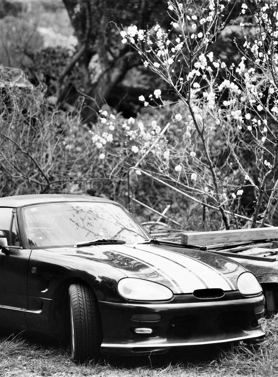 VØNPhoto tweet media