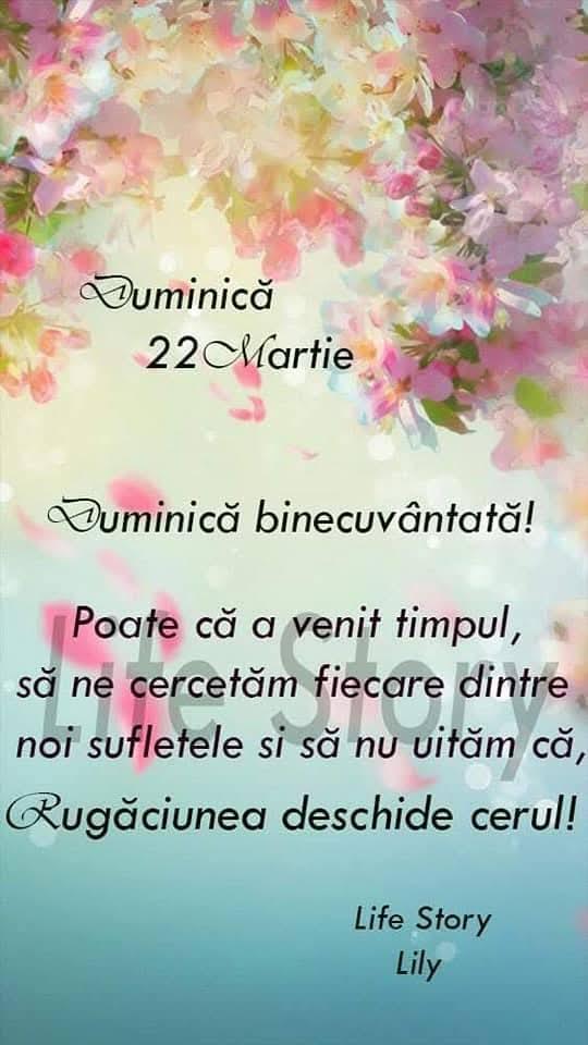 Mariana Munteanu tweet media