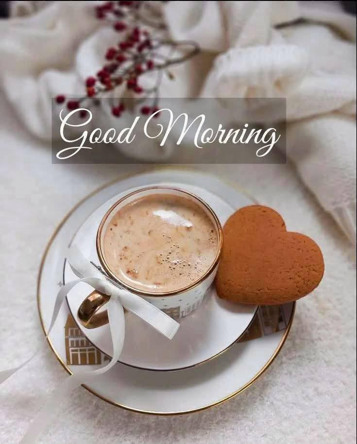 m moutei tweet media