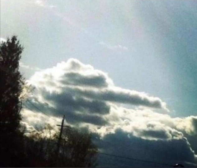 John Hunter tweet media