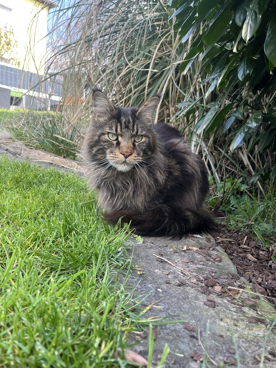 CodingJay tweet media