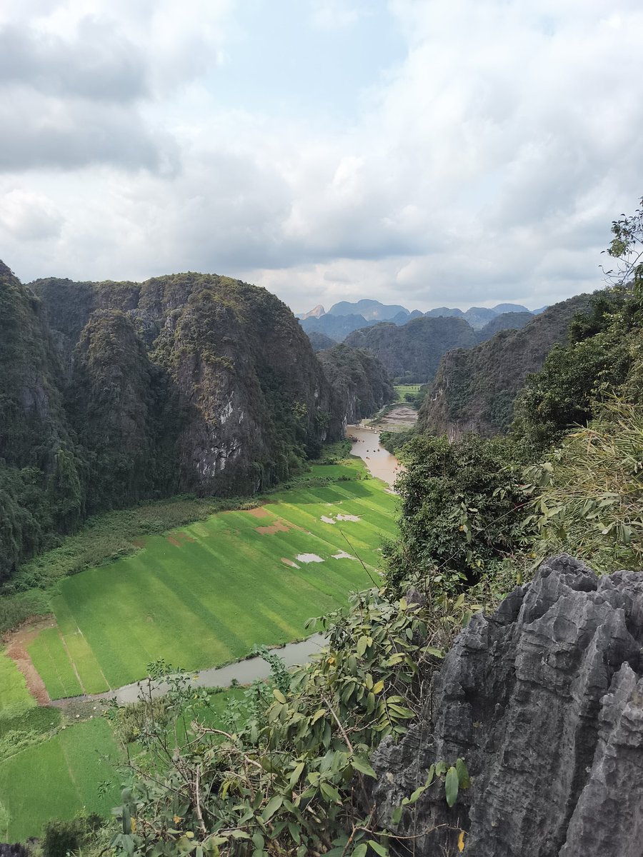 Irish | Jupiverse tweet media