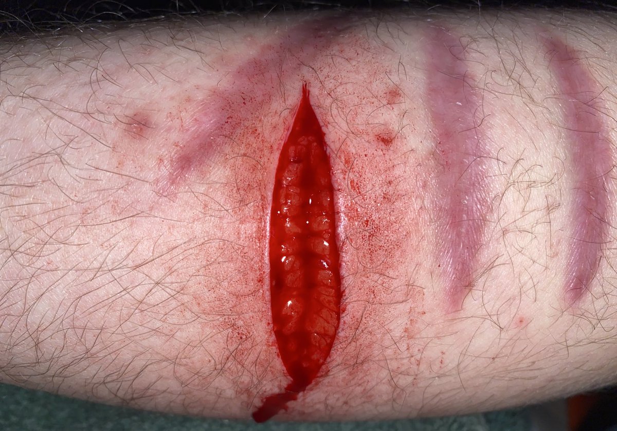 fish 🐟 tweet media