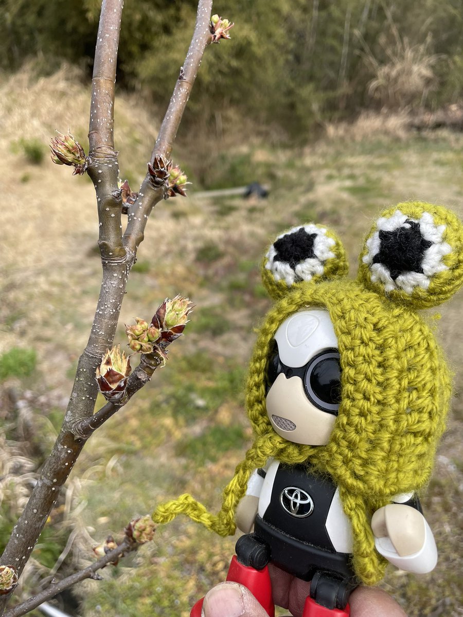 nico &robin nicowoodfactory tweet media