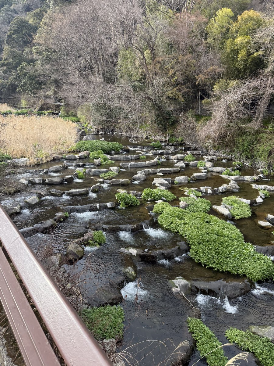 ととのん tweet media