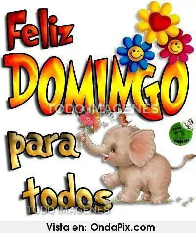 ☆Sofía Hep☆💛🐱🇦🇷 tweet media