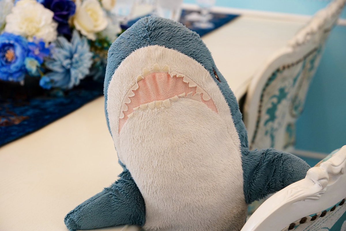 シャーくん tweet media