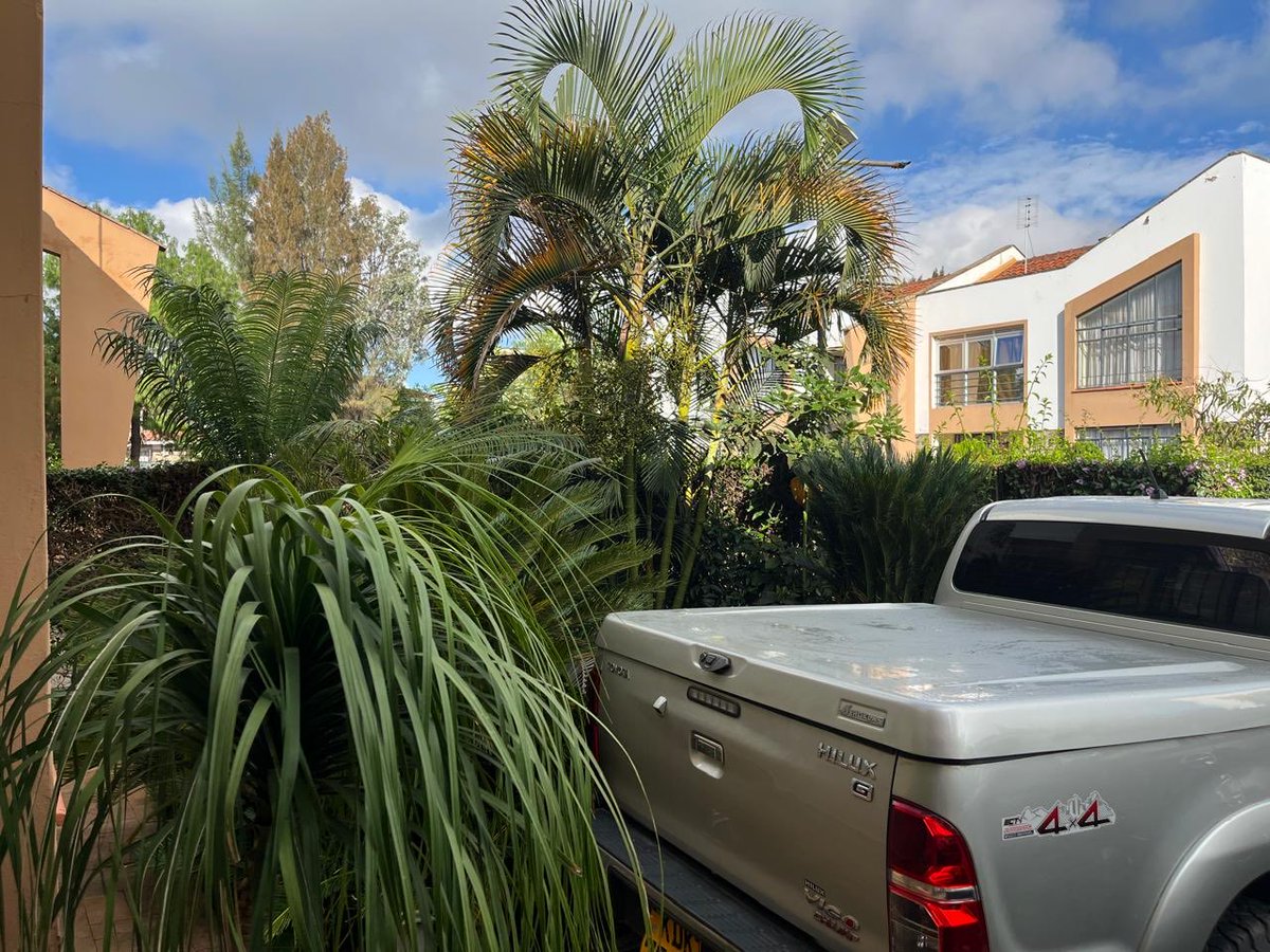 Steven Runo tweet media