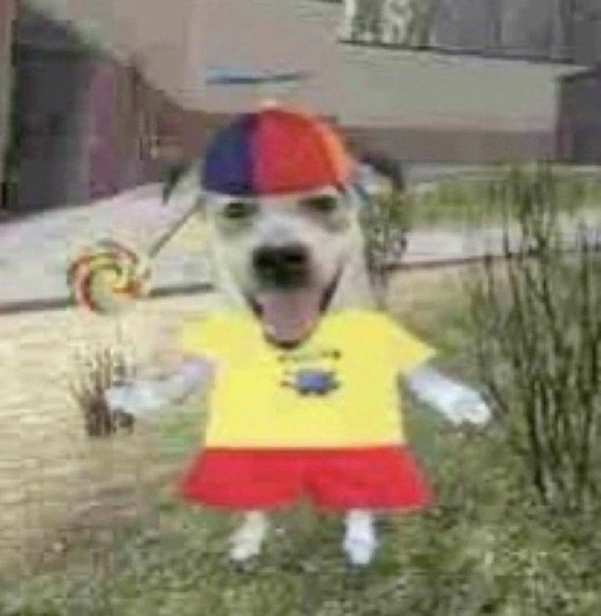 Malcolm Thinker🐅🎸 tweet media