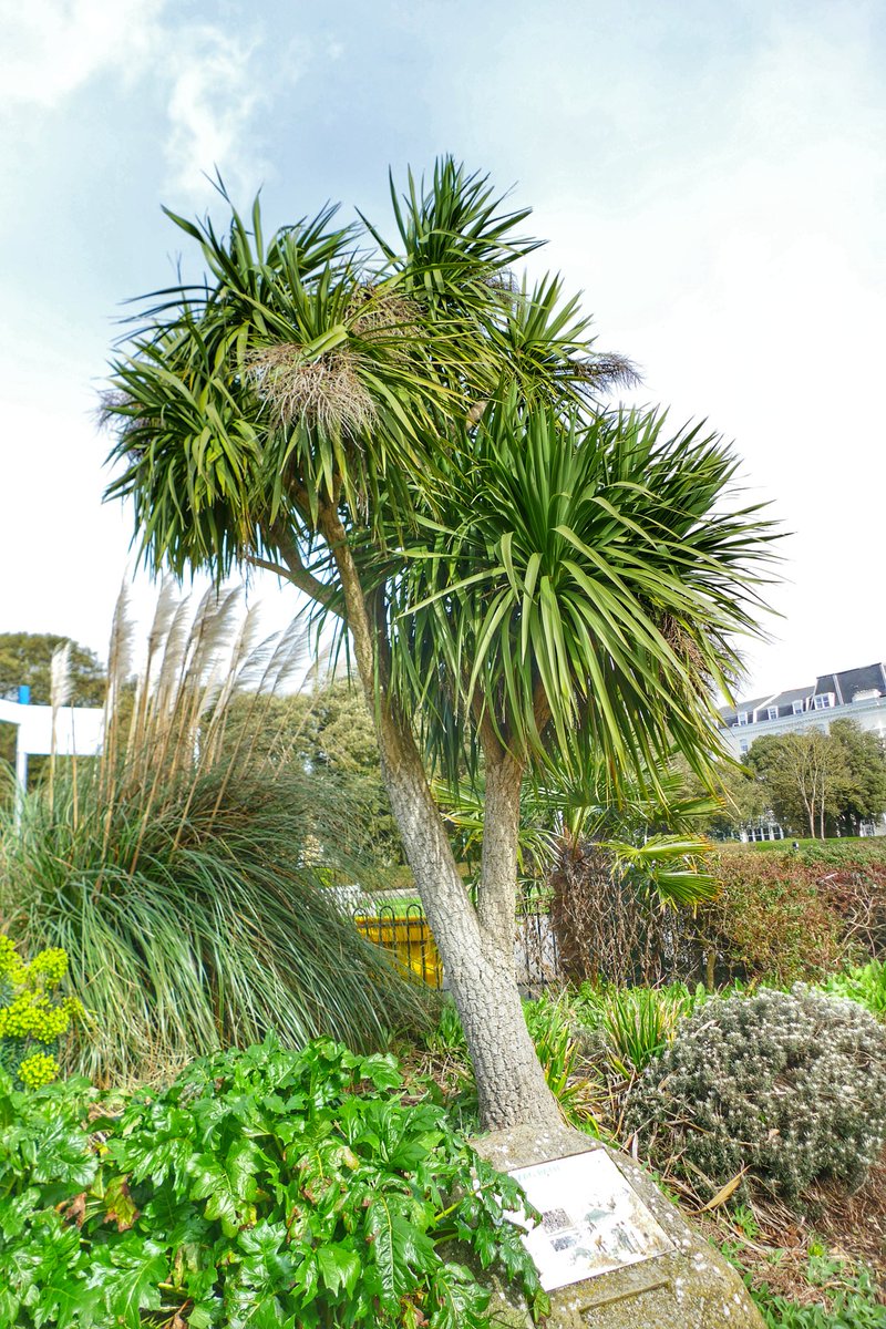 Andy Peal ⚓️🤘 tweet media