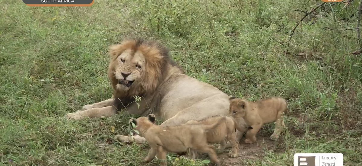 Charlotte Jackson tweet media